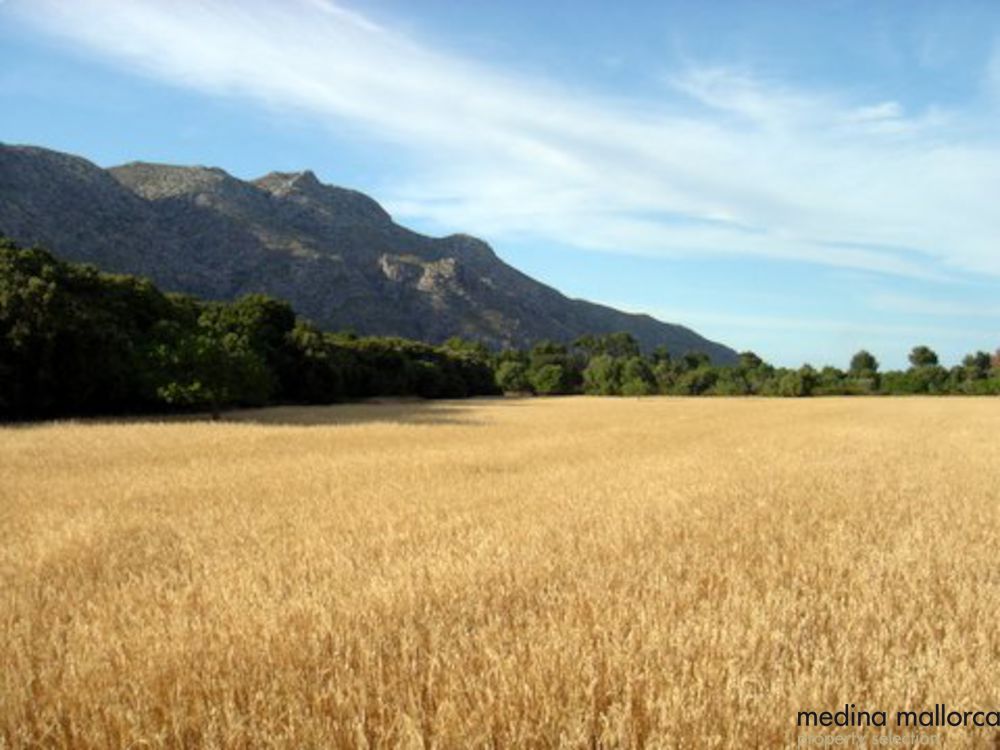 Antigua Finca Reformada medina mallorca 7