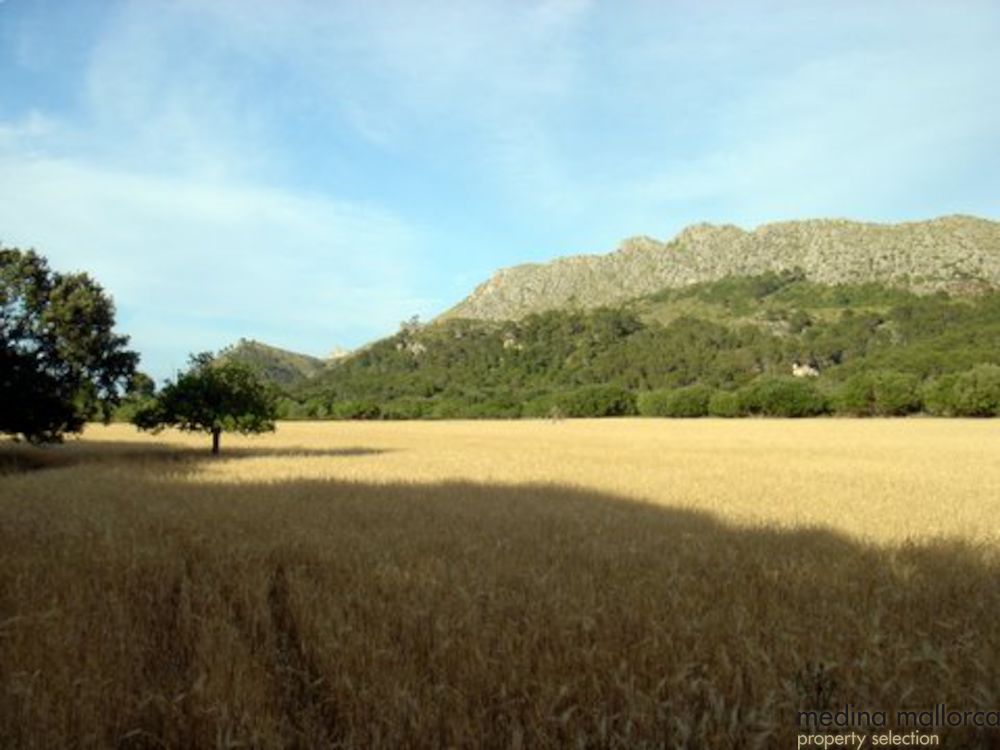 Antigua Finca Reformada medina mallorca 8