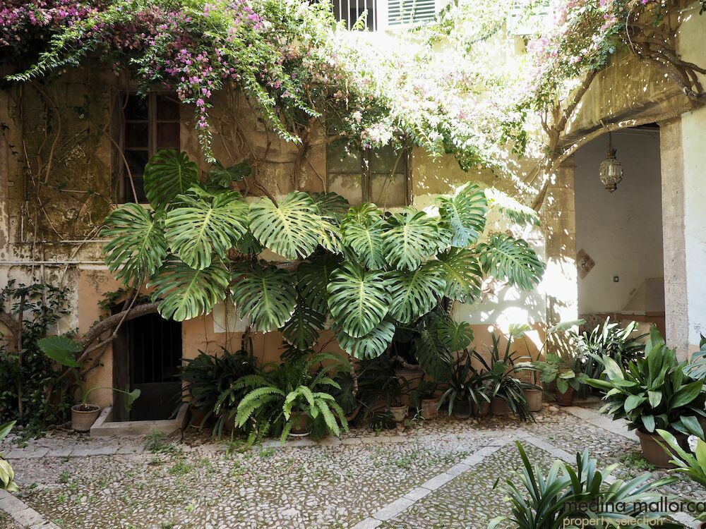 Casa senorial siglo XVI centro Palma medina mallorca 3