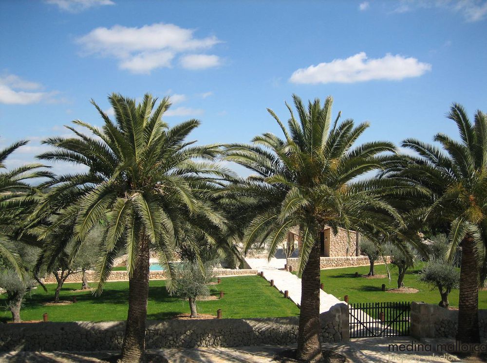 Finca en alquiler mallorquina medina mallorca 2