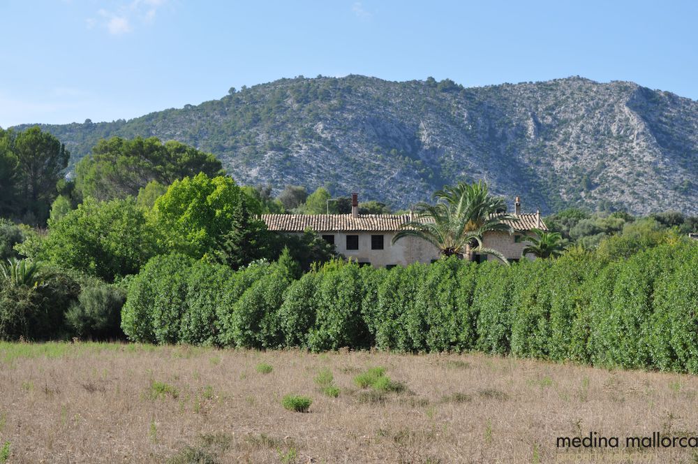 Finca en el Valle de Campanet medina mallorca 12