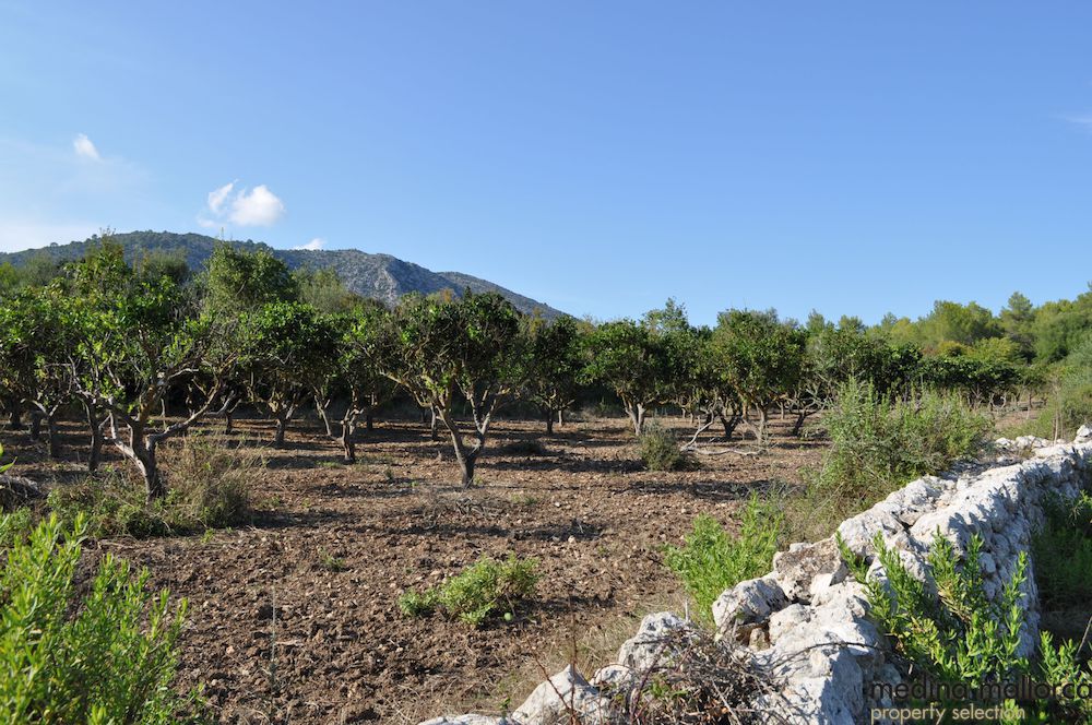 Finca en el Valle de Campanet medina mallorca 13