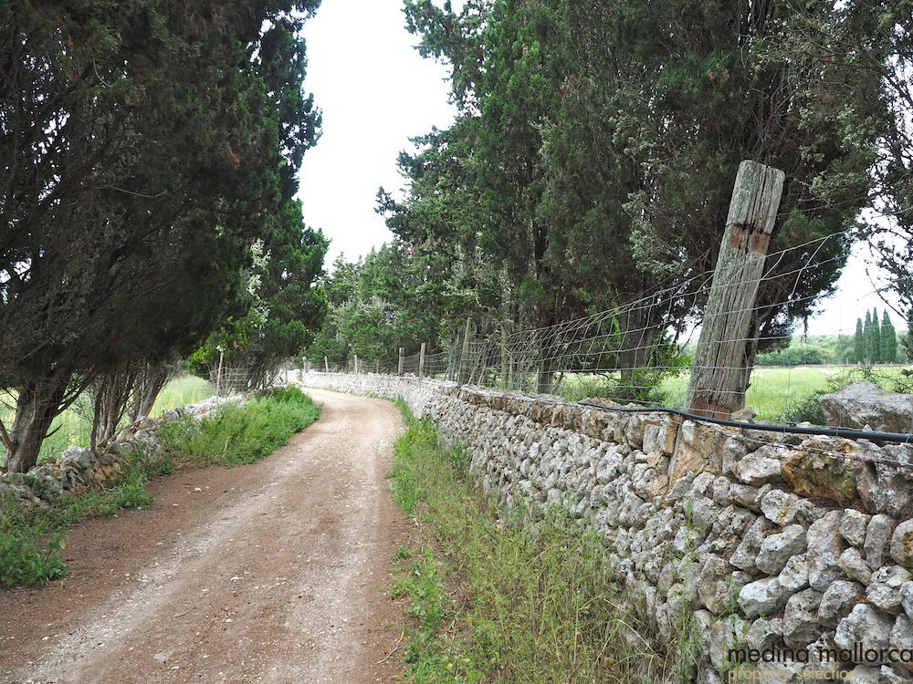 Finca rustica Maria Salut medina mallorca 10