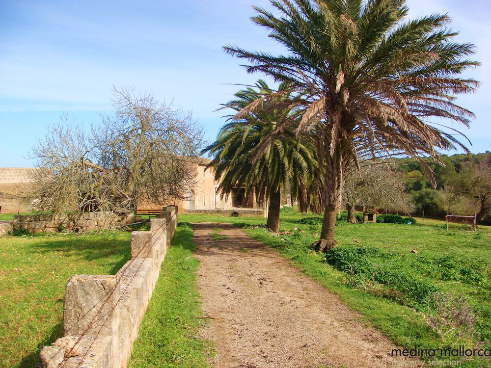 finca antigua para reformar medina mallorca 3