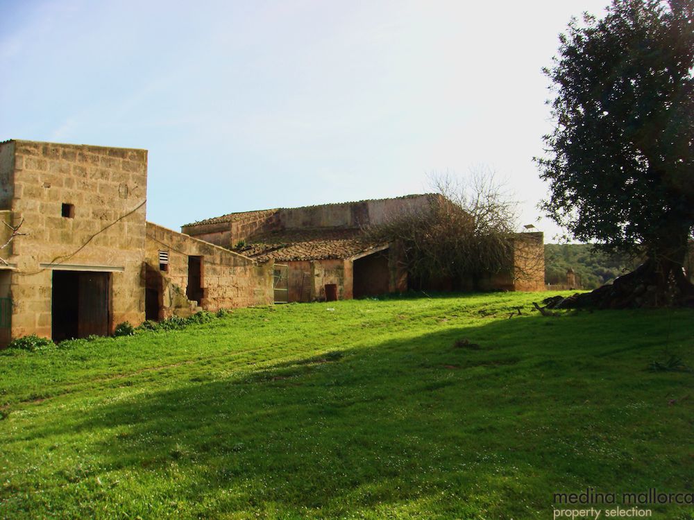 finca antigua para reformar medina mallorca 4