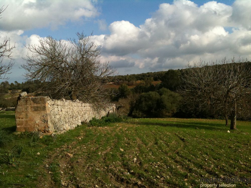 finca antigua para reformar medina mallorca 6