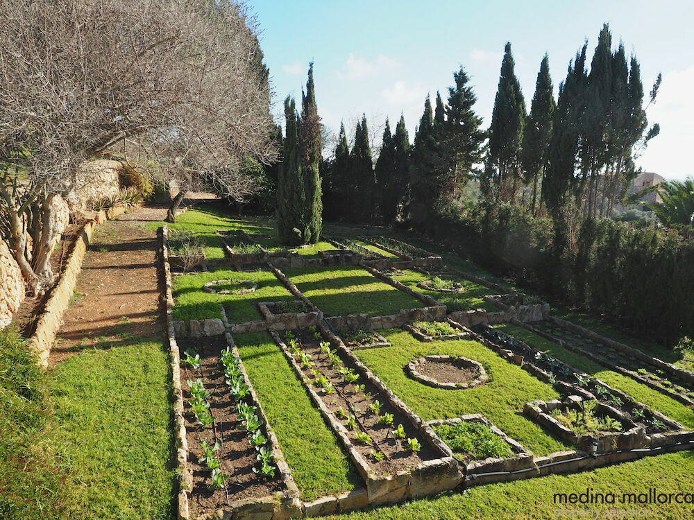finca rustica en s alqueria blanca medina mallorca 17