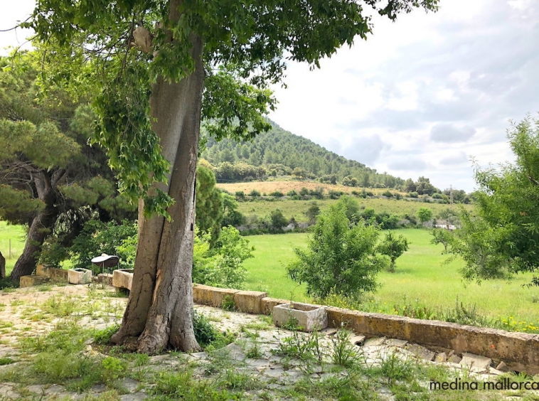finca rustica llucmajor medina mallorca 17