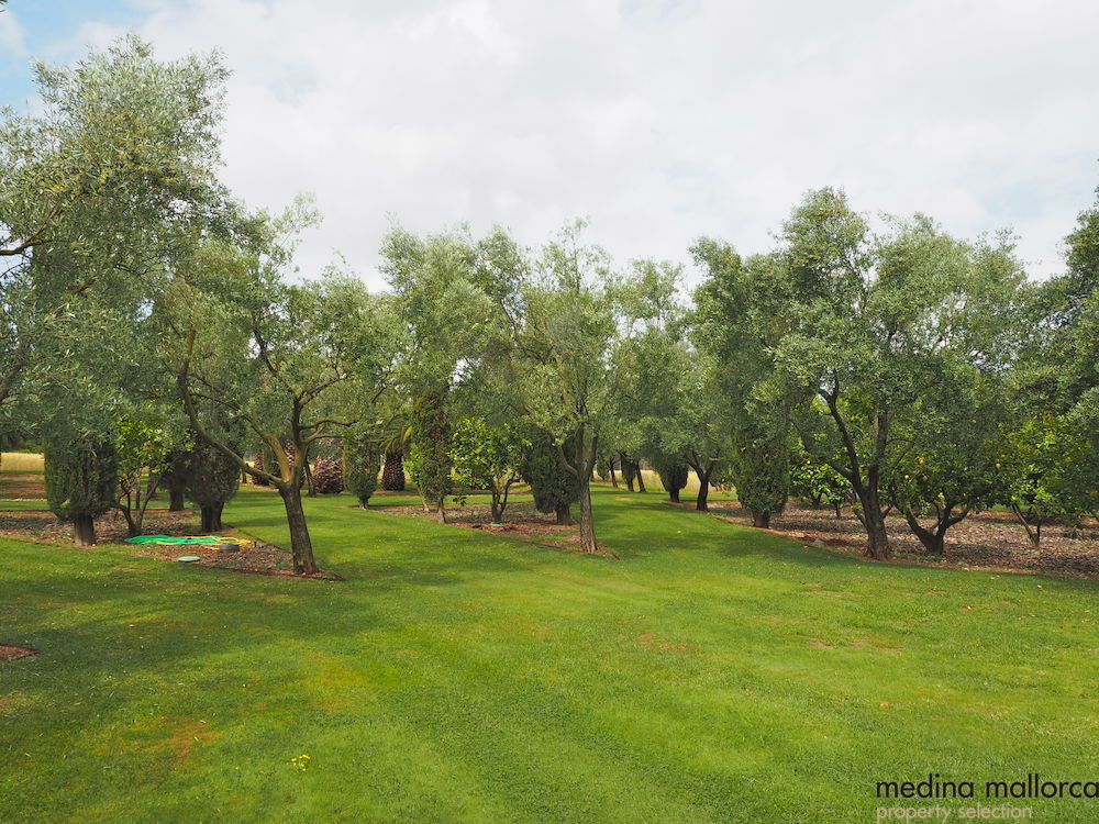magnifica finca rodeada de jardines llubi medina mallorca 24