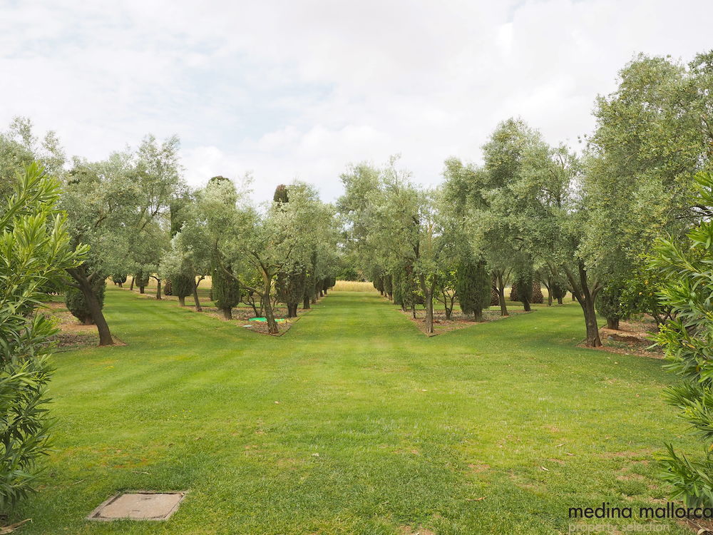 magnifica finca rodeada de jardines llubi medina mallorca 25