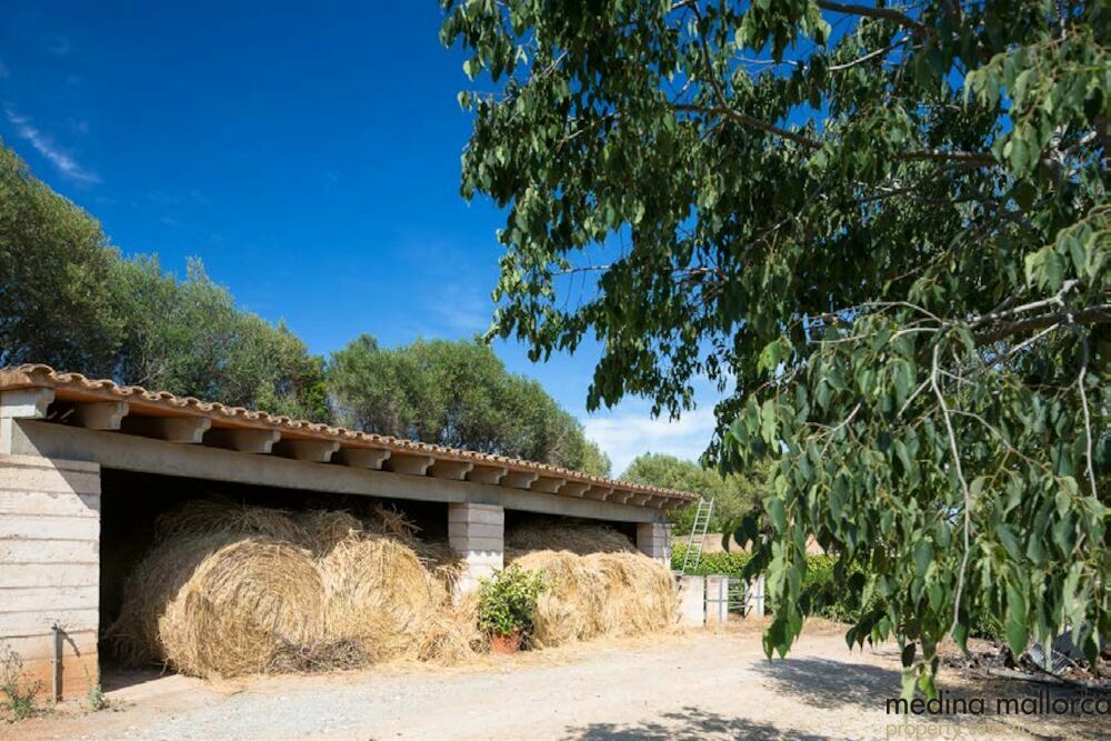 preciosa finca varias edificaciones manacor medina mallorca 24
