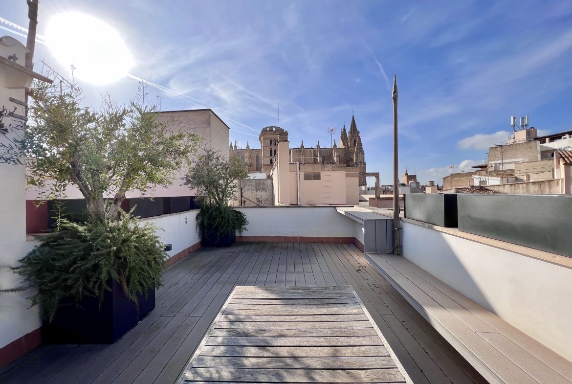 Terraza