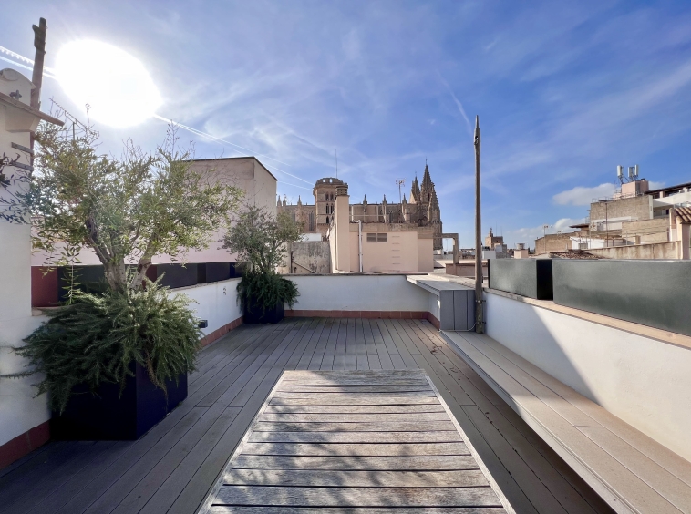 Terraza